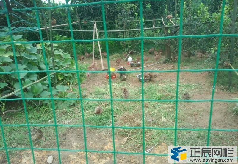 養(yǎng)殖場(chǎng)圍網(wǎng)